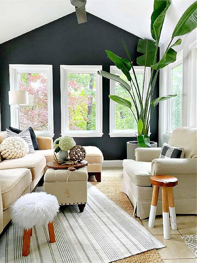Bird of Paradise - White - Strelitzia Nicholai. (4 White BoP in Sac)