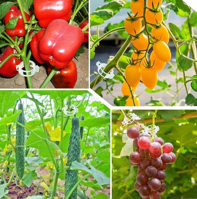Plant Support Garden Clips, Tomato Clips, Crop Clips for Vine Vegetables, Fixing Tomato, Sweet Pepper, Eggplant, Makes Plants Grow Upright and Healthier 50pcs