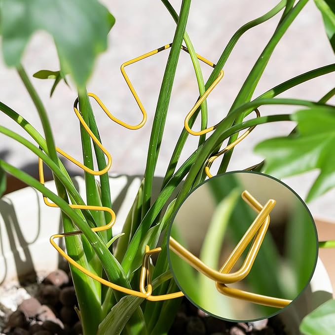 Honbay 5PCS Iron Monstera Stem Support Frame 6-Leaf Gold Alloy Plant Support Bracket for Indoor Outdoor Plants, Flower Stem Support for Garden Home