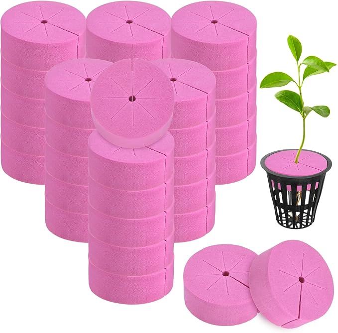 60-Pack Cloning Collars Inserts, Hydroponics Sponge Systems Cloning DIY Foam Cloner Inserts Fits 2" Net Pots for Hydroponic/DIY Cloner/Clone Machines/Plant Germination [Rose Red]