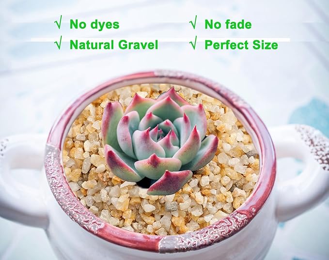 1/8inch-1/5inch Coarse Silica Sand Stones, Boniosz 2.4lb Succulent and Cactus Bonsai Rocks Small Decorative Pebbles for Terrariums, Fairy Gardening, Top Dressing, and Houseplants