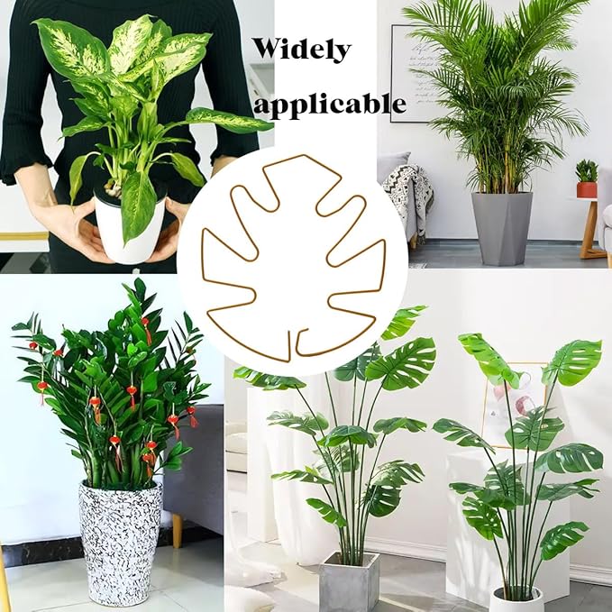 Spiritlele 5 Pcs Golden Plant Stem Support Holder Set Monstera Plant Support Clamp Growth Accessories for Indoor Plants Small