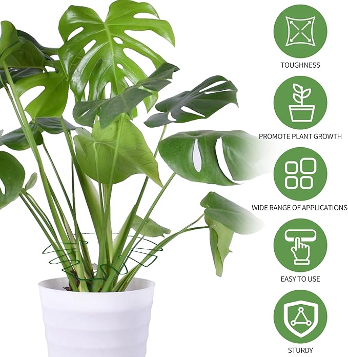 Spiritlele 5 Pcs Green Plant Stem Support Holder Set Monstera Plant Support Clamp Growth Accessories for Indoor Plants Big