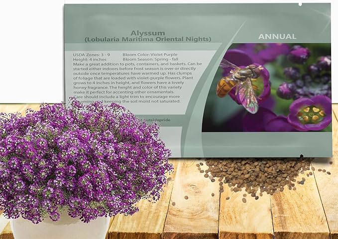 Outsidepride Oriental Nights Alyssum Seeds - 10000 Pcs Annual, Drought-Tolerant & Pollinator-Friendly Ground Cover Seeds w/Fragrant Honey Blooms for Low-Growing Xeriscaping & Outdoor Planting