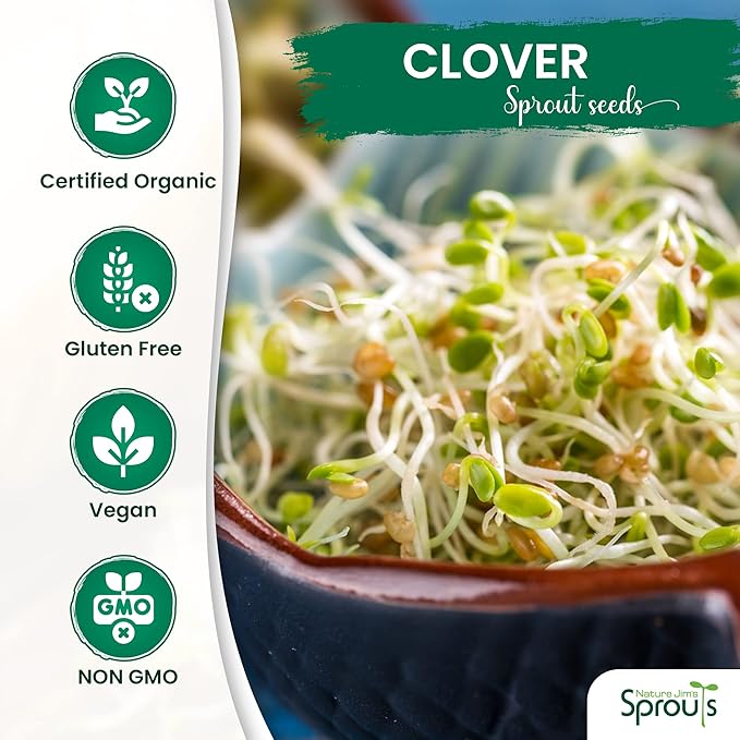 Nature Jims Sprouts Clover Seeds –Organic Non-GMO Sprouting Seeds for Fresh, Nutrient-Rich Seed, Packed with Vitamins, Minerals & Fiber, Ideal for Growing Sprouts and Clover Seed, Reseable Bag, 16 oz