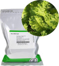 Southern Giant Curled Mustard Seeds: 1 Lb - Non-GMO Seeds for Herb Gardening, Growing Microgreens, Vegetable Garden