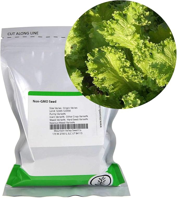 Southern Giant Curled Mustard Seeds: 1 Lb - Non-GMO Seeds for Herb Gardening, Growing Microgreens, Vegetable Garden