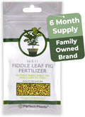Fiddle Leaf Fig Slow-Release Fertilizer by Perfect Plants - Resealable 5oz. Bag - Consistent Nutrient Enrichment - for Indoor and Outdoor Use on All Ficus Varieties