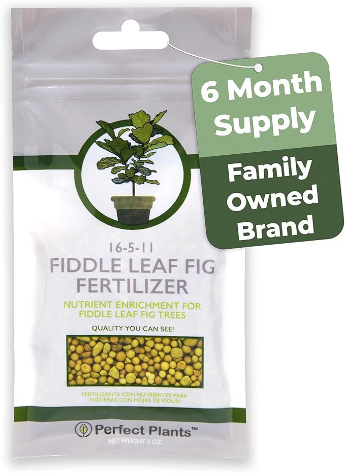 Fiddle Leaf Fig Slow-Release Fertilizer by Perfect Plants - Resealable 5oz. Bag - Consistent Nutrient Enrichment - for Indoor and Outdoor Use on All Ficus Varieties
