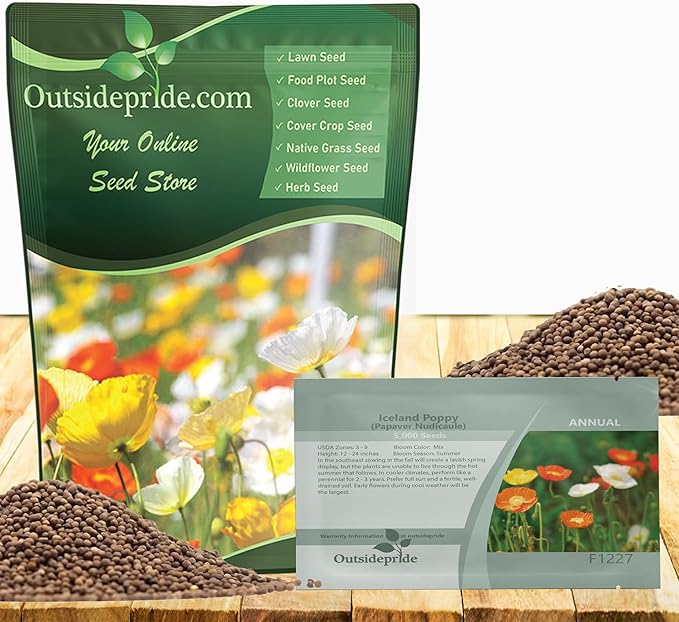 Outsidepride Iceland Poppy Seeds for Planting Outdoors - 5000 Pcs. Annual, Drought-Tolerant & Easy to Grow Wildflower Seeds with Vibrant Purple Blooms for Landscaping, & Pollinator Garden