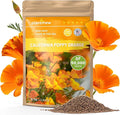 Orange California Poppy Seeds for Planting - Bulk 1.76 Ounce Packet - Over 50,000 Native Seeds - California State Flower