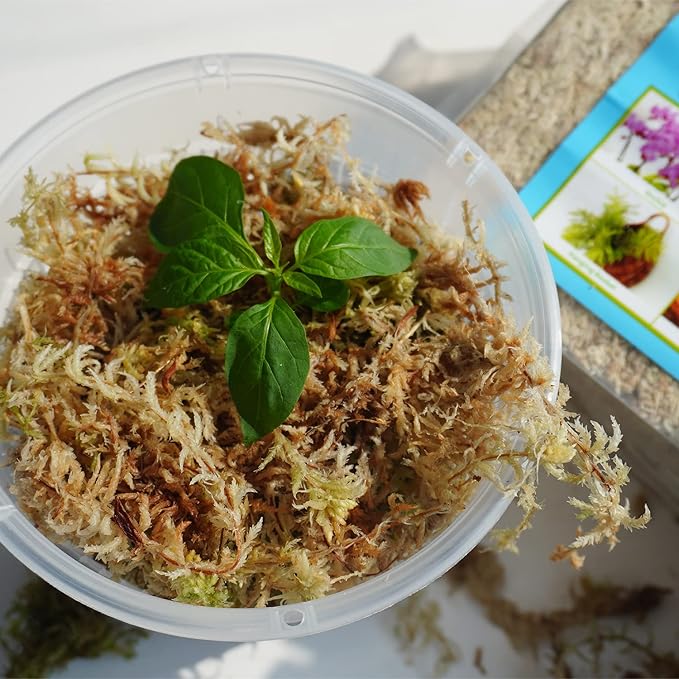 Sphagnum Moss 1.2 lb for DIY Moss Pole, Great Potting Mix for Indoor Plants, Help with Maintain Humidity