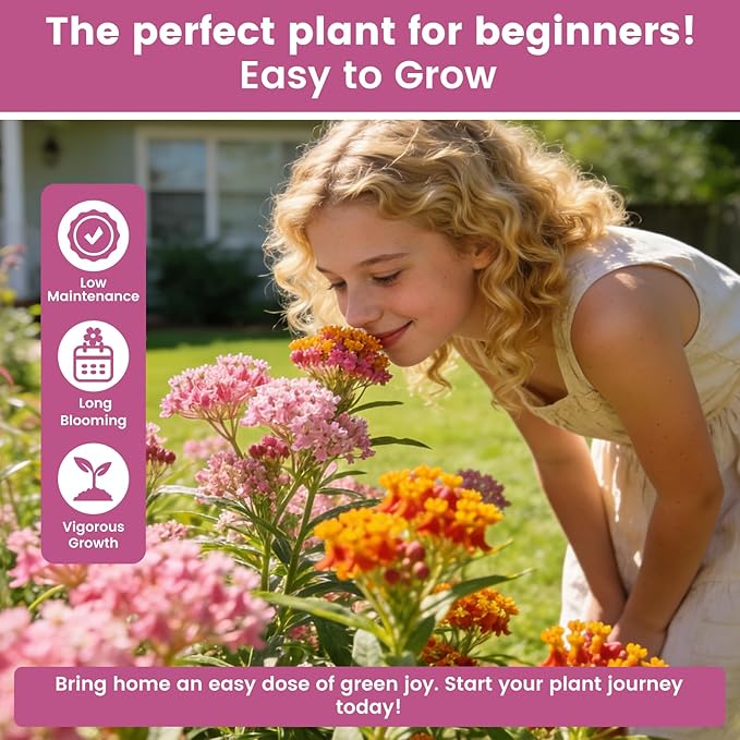 Milkweed Seeds Mix for Monarch Butterflies - Fruivity 5 Varieties Perennial Wildflower Milkweed Seeds Non-GMO Butterfly, Common, Showy, Pink Swamp & White Swamp - Flower Seeds for Pollinator Garden