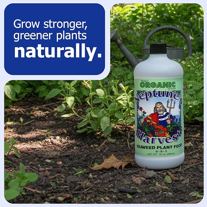Neptune’s Harvest Seaweed Plant Food (0-0-1) - Multi-Purpose Seaweed Organic Liquid Fertilizer - Indoor & Outdoor Plant Fertilizer for Lawns, Gardens, Vegetables, & Flowers (Quart)