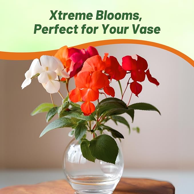 Outsidepride Xtreme Hot Mix Impatiens Flower Seeds - 150 Pcs Annual, Compact & Pollinator Friendly, Impatiens Seeds for Planting w/Vibrant, Abundant Blooms for Shade Gardens & Container Displays