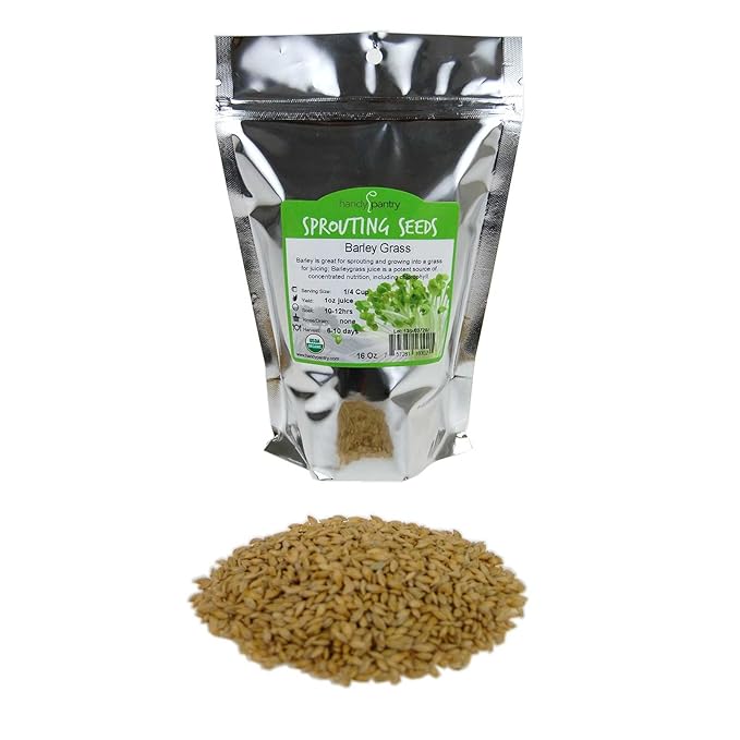 Organic Barley Seeds - 1 Lbs - Whole (Hull Intact) Barleygrass Seed - Ornamental Barley Grass, Juicing - Grain for Beer Making, Emergency Food Storage & More