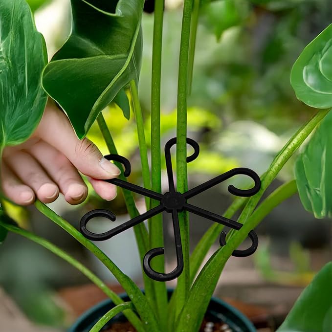 12Pcs Plant Stem Supports, Reusable Plastic Plant Accessories Indoor, Monstera Plant Support for Climbing Houseplants, Stakes Trellis Stem Hook Growth Tools for Neat Garden Arrangement(Black)