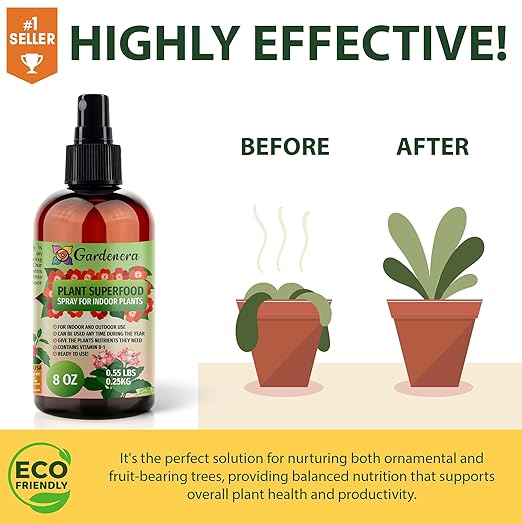 𝐁𝐄𝐒𝐓𝐒𝐄𝐋𝐋𝐄𝐑 Plant Superfood for Mango Tree with B1 Vitamin, Glucose and Essential Minerals - Organic Plant Food Fertilizer for Indoor & Outdoor Mango Plant Care - 8oz