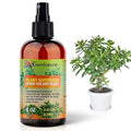 𝐁𝐄𝐒𝐓𝐒𝐄𝐋𝐋𝐄𝐑 Plant Superfood for Jade Plants with B1 Vitamin, Glucose and Essential Minerals - Organic Plantfood Fertilizer for Indoor & Outdoor Jade Plant Care - 8oz