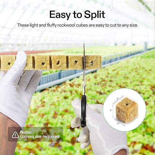 VIVOSUN 1" Rockwool Cubes, 200 Plugs Stonewool Starter Grow Cubes for Cuttings, Cloning, Plant Propagation, Seed Starting, Hydroponic Grow Media for Vigorous Plant Growth