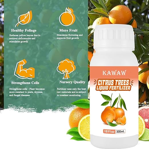 10oz Organic Citrus Tree Fertilizer - Microbial Probiotic Liquid Plant Food for Lemon, Lime, Orange & Olive Trees - Revitalizes Yellow Leaves & Roots