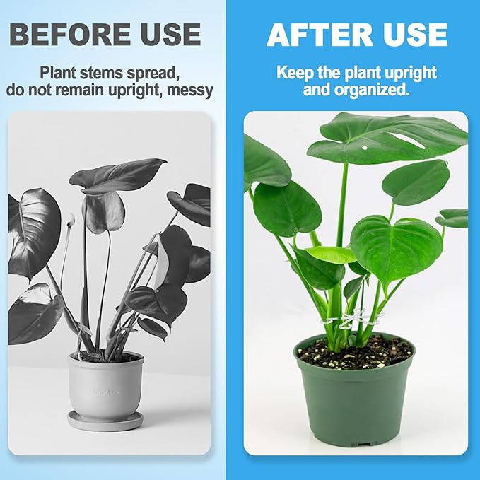 8pcs Plant Stem Support, Plastic Plant Stem Holder for Climbing Plants, 4 Sizes Reusable Houseplant Support Stakes for Orchids Peonies Marigolds Tomatoes Saplings Indoor Outdoor Use- Clear