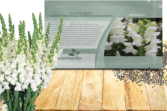Outsidepride Snowflake Snapdragon Seeds - 5000 Pcs Annual Flower Seeds for Planting, Frost-Tolerant, Pollinator-Friendly Cool-Season Plant with Attractive Blooms for Cut Flower Arrangements