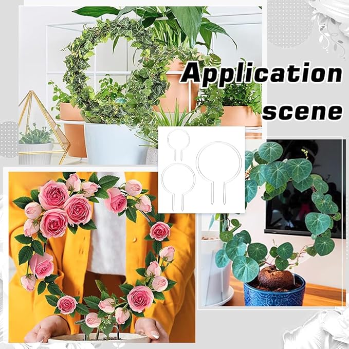 FINGERINSPIRE 3 Pcs Circle Acrylic Trellis for Potted Plants 3Sizes Round Trellis for Climbing Plants Ring Shape Plant Supports for Vines Hoya Plant Frames for Pothos Monstera Philodendrons Dischidia