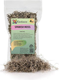Gardenera Premium Natural Spanish Moss | Natural Preserved - Great Ground Cover - Filler for Potted Plants - 4 Quart Bag