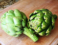 Seeds Green Globe Artichoke Heirloom Vegetable for Planting Non GMO