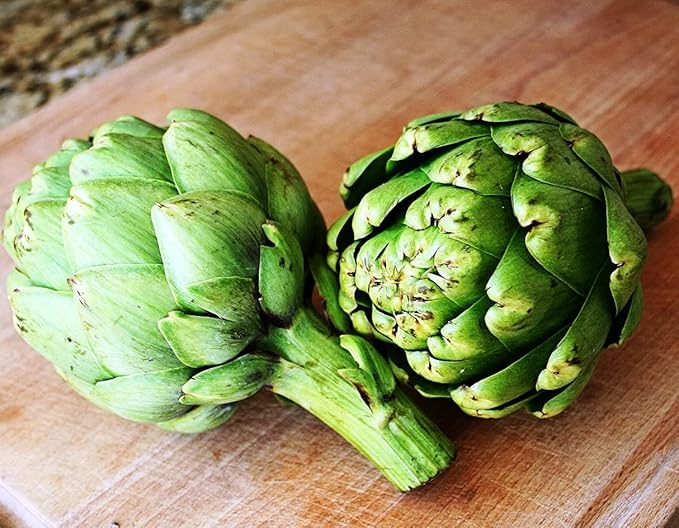 SeedsUP - 20+ Seeds Globe Artichoke Imerial Star - Vegetable Green