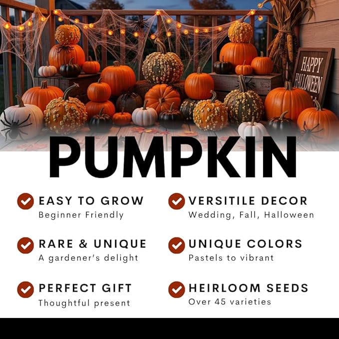 Pumpkin Seeds for Planting (10 Seeds) - Exotic Black Kat Pumpkin – Deep Black, Smooth-Skinned Pumpkins – Rare Decorative Variety for Fall Gardens, Halloween Displays & Autumn Décor