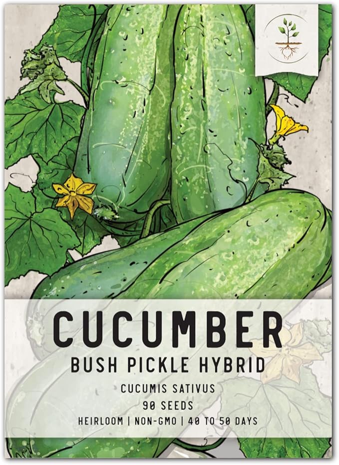 Seed Needs, Bush Pickle Cucumber Seeds - 30 Heirloom Seeds for Planting Cucumis sativus - Non-GMO & Untreated to Plant an Outdoor Vegetable Garden (1 Pack)