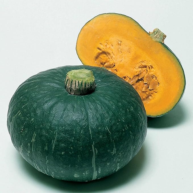 Squash Seeds - Japanese, Winter - Sweet Mama - Hybrid - 1 g Packet ~6 Seeds - Non-GMO, F1 Hybrid - Asian Garden Vegetable