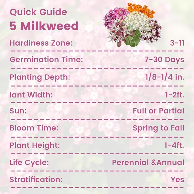 Milkweed Seeds Mix for Monarch Butterflies - Fruivity 5 Varieties Perennial Wildflower Milkweed Seeds Non-GMO Butterfly, Common, Showy, Pink Swamp & White Swamp - Flower Seeds for Pollinator Garden
