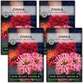 Sow Right Seeds - Zinnia Cactus Flower Seeds for Planting - Beautiful Flowers to Plant in Your Garden - Non-GMO Heirloom Seeds - Red and Pink Variety - Attract Pollinators - Beautiful Cut Flower (4)