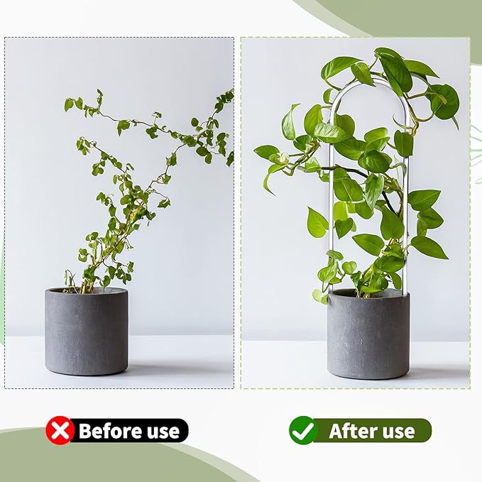 2 Pack Thickened U-Shaped Acrylic Trellis for Indoor Plants, Small Clear Plant Trellis for Potted Plants Climbing Plants Garden Accessory for Pothos Hoya Trellis Indoor Outdoor
