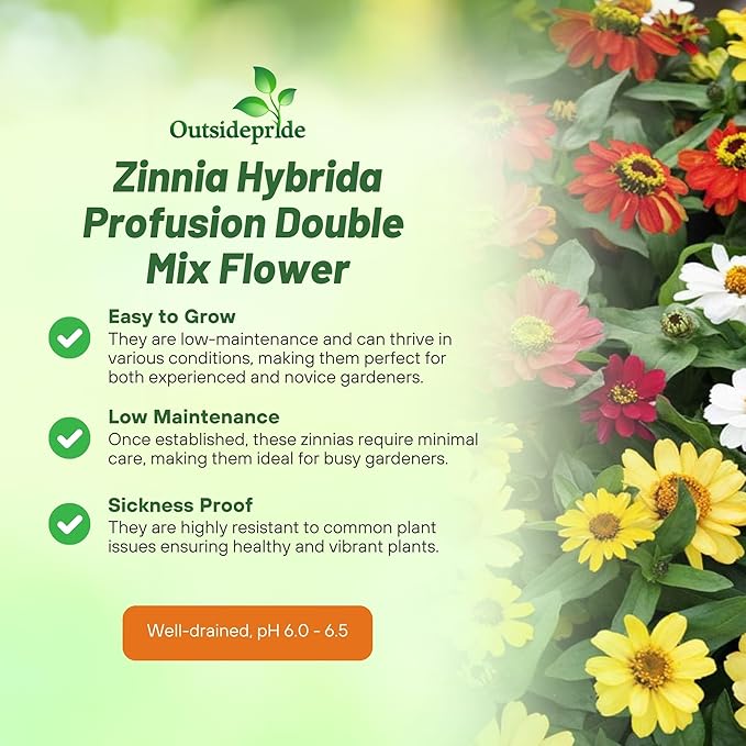 Outsidepride Profusion Double Mix Zinnia Seeds - 25 Pcs Annual, Hardy & Drought Tolerant, Easy to Grow, Flower Seeds for Planting with Daisylike Double Blooms, Ideal for Pollinator Gardens