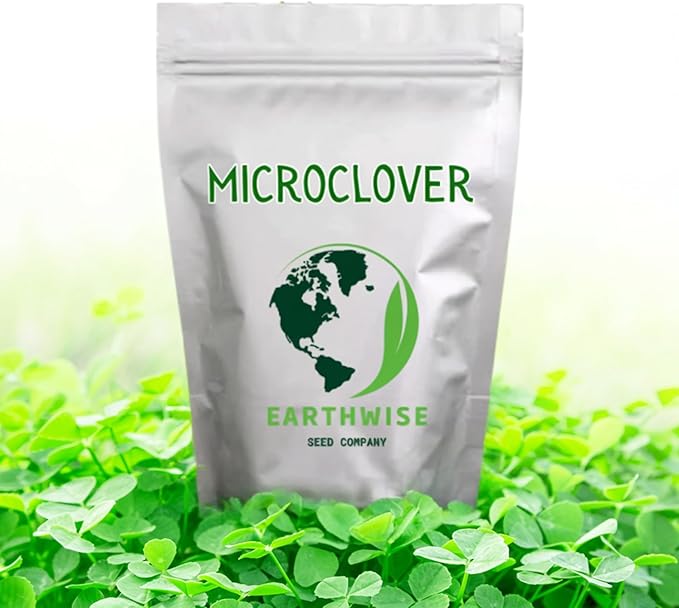 Earthwise Microclover Alternative Lawn Seed – Low-Maintenance, Eco-Friendly Turf – 1/2 lb – Covers 250–500 sq ft
