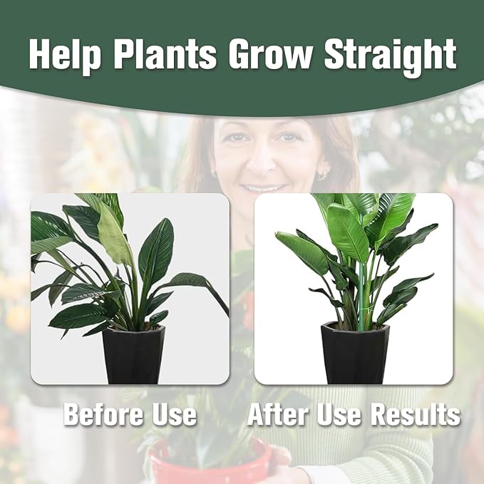 5pcs Adjustable Plant Support Pole, Stackable for Indoor and Outdoor Use, Garden Accessories for Supporting Monstera and Climbing Potted Plants