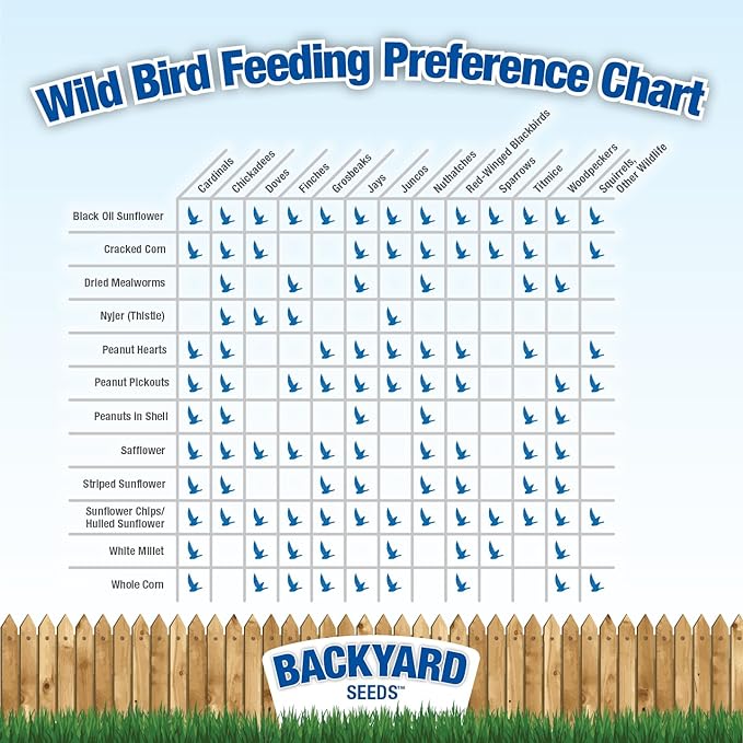 CountryMax Backyard Seeds Premium Blend Bird Seed 20 lb - to Attract Songbirds - Wild Bird Food Mix with Black Oil Sunflower (20 Pounds)