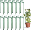 24 PCS Plant Support Stakes, Stackable 3 Tier Garden Flower Support, Half Round Plant Stakes, Tomato Cages, Trellis Support Rings for Climbing Plants Vegetables Flowers Fruits