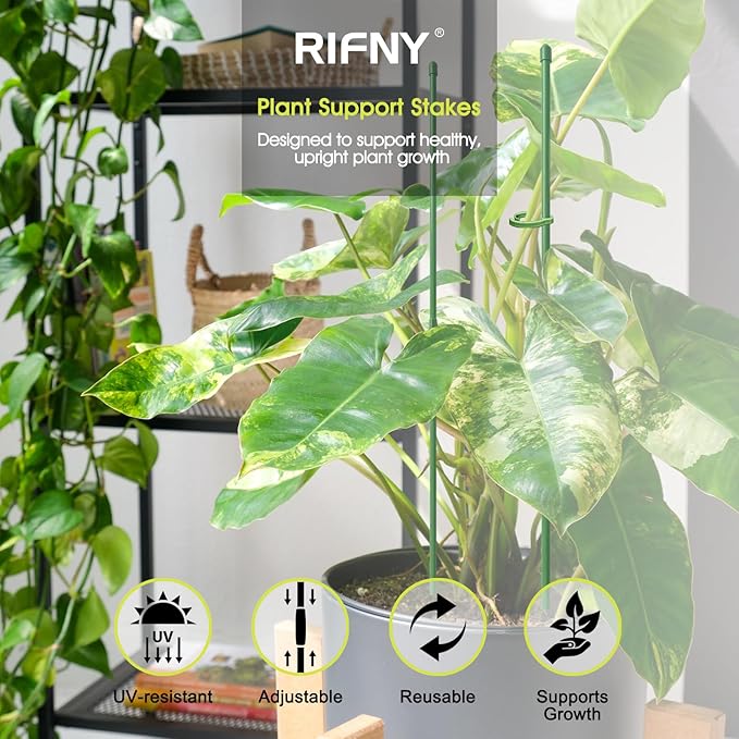 RIFNY Plant Stakes for Indoor Plants, 12 Inch Plant Support Stakes with Clips, Tall Adjustable Plant Sticks for Indoor Monstera Tomato Orchid Potted Plants Flower (6 PCS, Green)