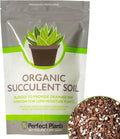 Succulent & Cactus Soil Mix by Perfect Plants (1QT)