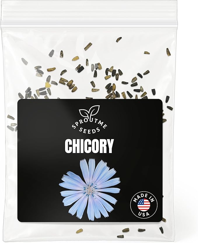 Fall & Winter Chicory Seeds for Indoor & Outdoor Planting – 300+ Non-GMO Heirloom USA-Grown Leafy Greens & Edible Roots for Culinary, High Germination (Cichorium intybus)