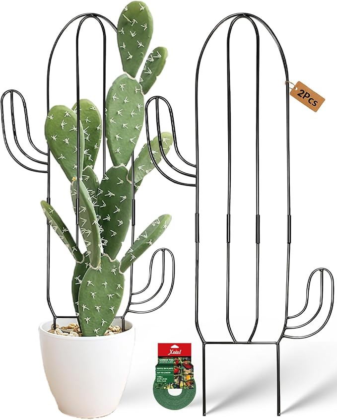 Plant Trellis for Climbing Plants Indoor, Heay Duty Cactus Trellis for Potted Plants, Pothos Hoya Monstera Metal Houseplant Climbing Support for Garden Balcony, 2P