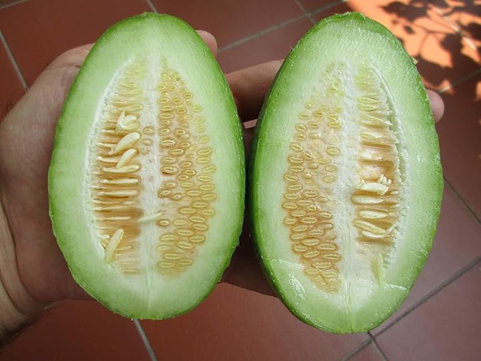 NIKA SEEDS - Seeds Vegetable Cucamelon (Cross Cucumber and Melon) Vine - 20 Seeds