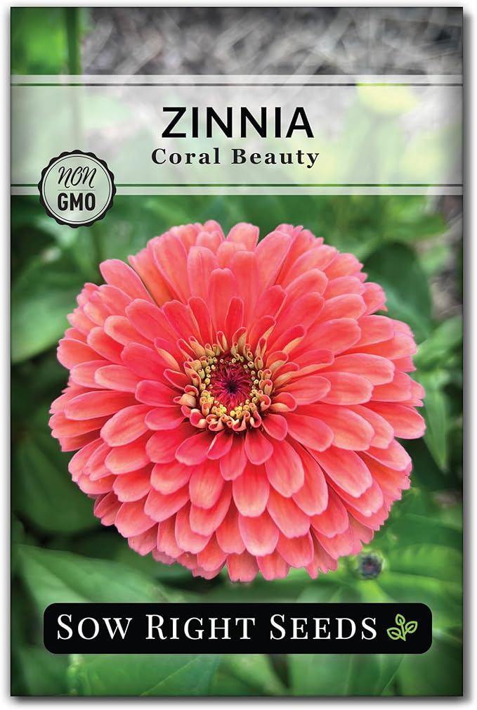 Sow Right Seeds - Zinnia Coral Flower Seeds for Planting - Beautiful Flowers to Plant in Your Garden - Non-GMO Heirloom Seeds - Vibrant Colored Variety - Attract Pollinators - Giant Cut Flower (1)