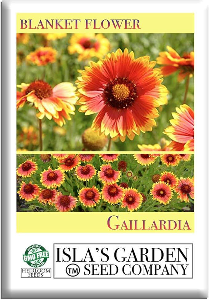 Blanketflower Gaillardia Seeds (Gaillardia aristata) – 500+ Non-GMO Heirloom Seeds by Isla’s Garden Seeds, Vibrant Perennial Wildflowers, Attracts Butterflies & Bees, Drought-Tolerant & Easy to Grow