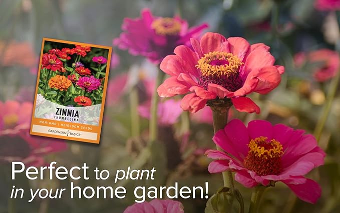 Gardeners Basics Zinnia Seeds for Planting Outdoors Flowers (Thumbelina) - Flower Seed Packet Annual Heirloom, Non-GMO Variety, 800mg Seeds Great for Summer Seeds for Flower Gardens